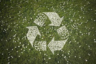 東湖高新集團園區企業鼎業環保榮獲五項國家實用新型專利，助力環保技術推廣服務